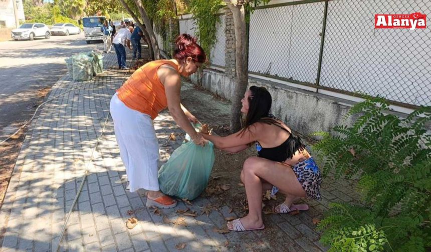 Turistler yangın sonrası otel çevresindeki kurumuş ot ve yaprakları temizledi