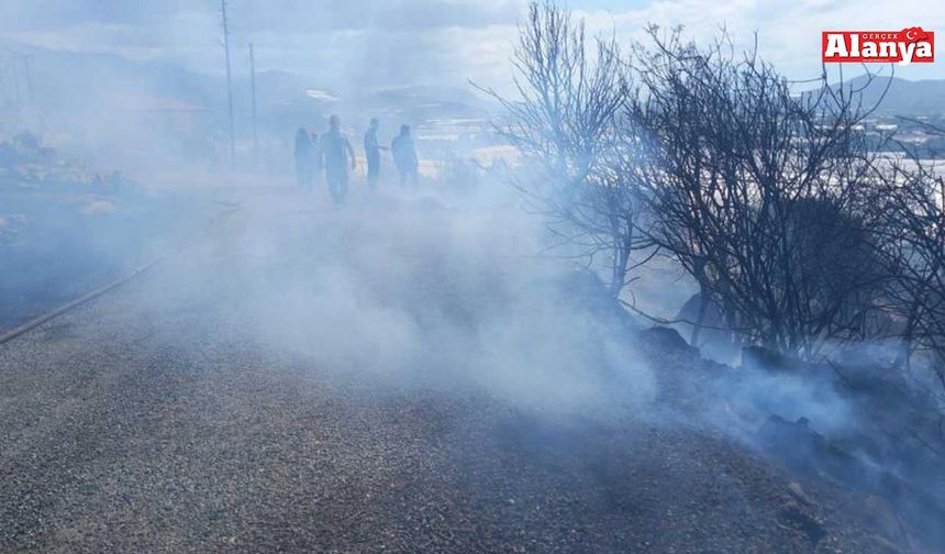 Gazipaşa'da zirai alanda yangın büyümeden söndürüldü