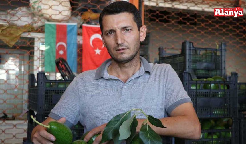 Hilmi Sevilgen: Kimsede vicdan kalmamış