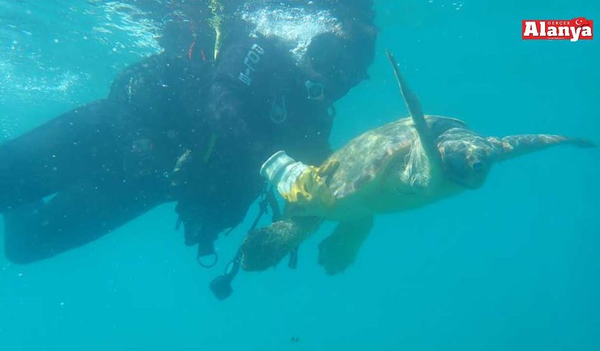 Yaralı bulunan Caretta Caretta yeniden özgürlüğe kavuştu
