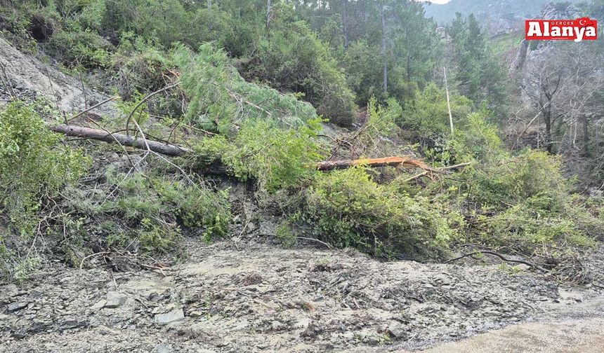 Alanya Gümüşkavak'ta heyelan korkuttu