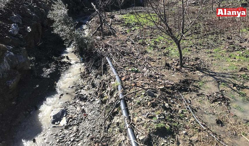 Alanya'da tarım alanları da zarar gördü