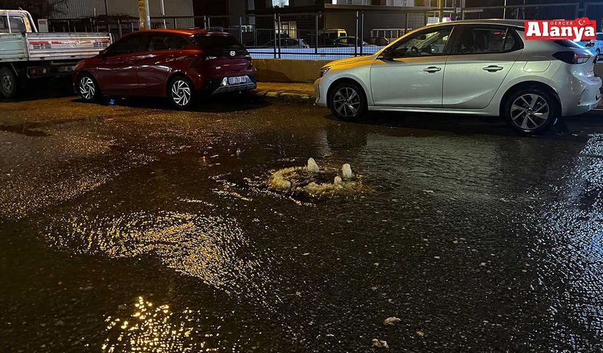 Alanya'da yağış sonrası logarlar yine taştı