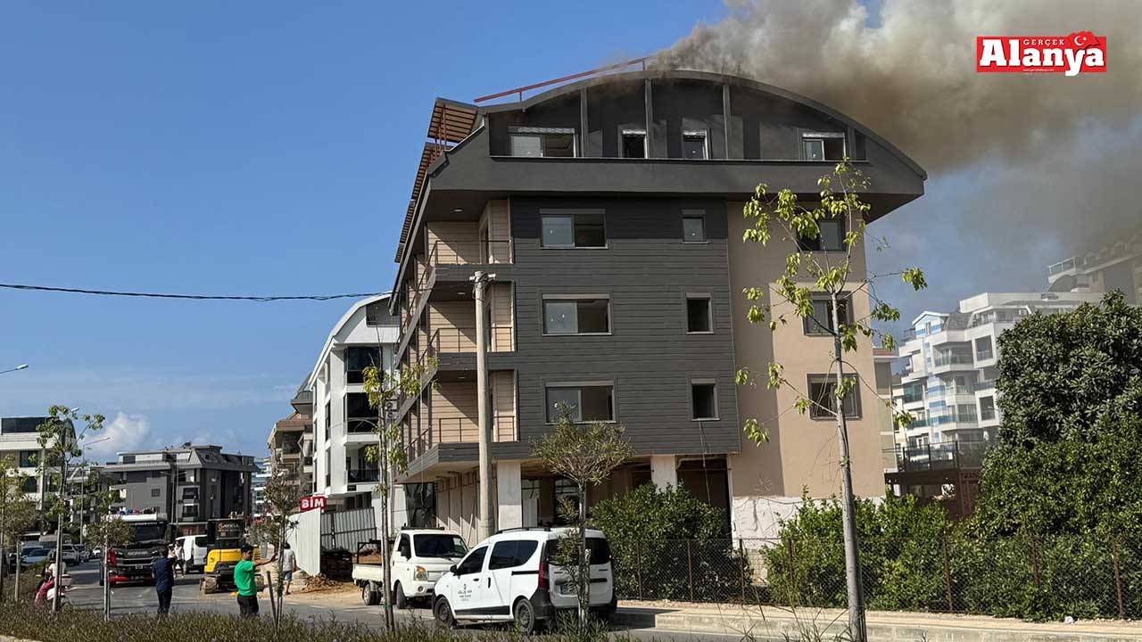 Zafa 2-1