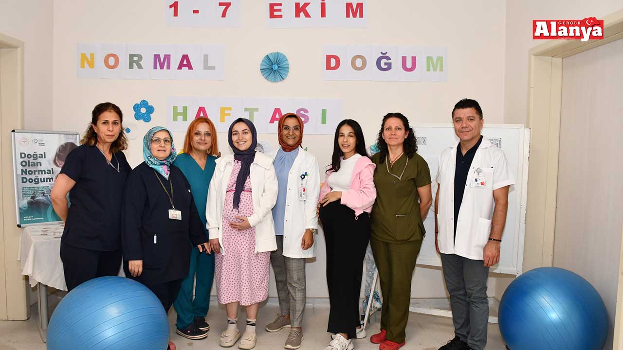 Normal 2