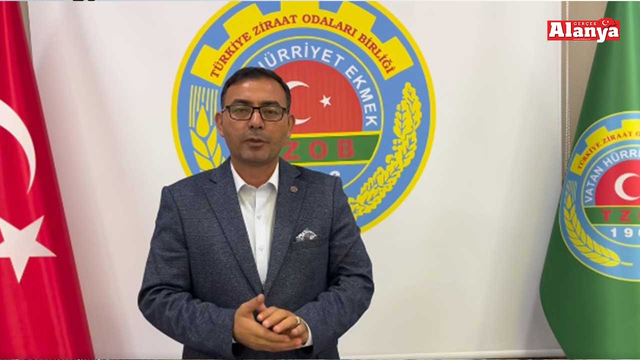 T A H İ R-1