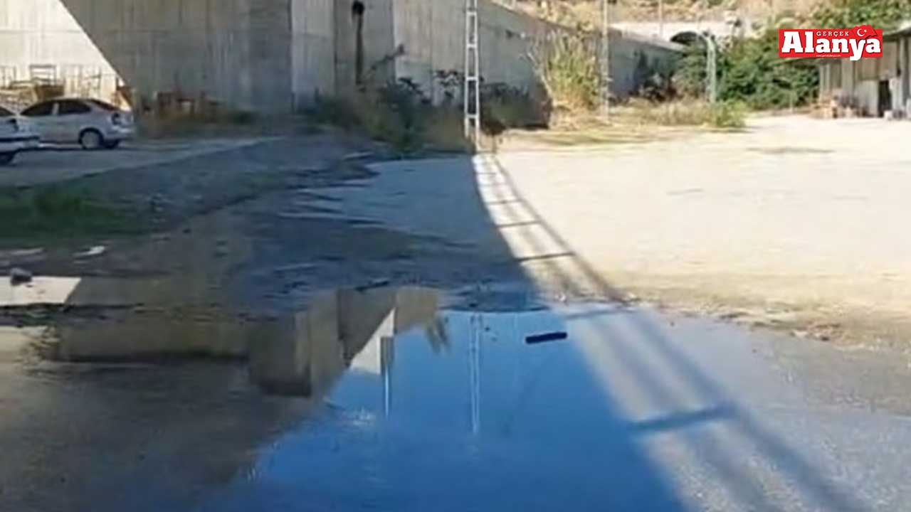 Yol İsyani 2